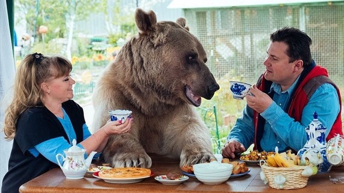 ロシア人家族と20年以上暮らしている熊…サッカー観戦、庭で水やりも