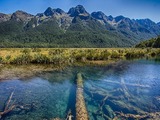 自然の美しさ…ニュージーランドのトレッキングコース 画像