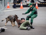 東京マラソンのゴール地点で「テロ対処訓練」…ドローン対応訓練も 画像