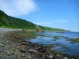 クラブツーリズム、特別保護地域の知床岬に特別上陸するツアー実施 画像